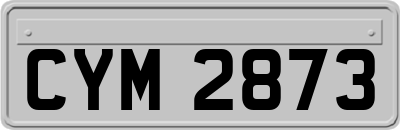 CYM2873