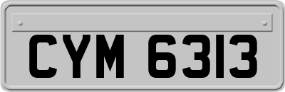 CYM6313