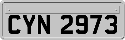 CYN2973