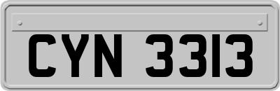 CYN3313