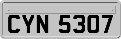 CYN5307