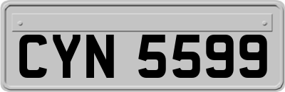 CYN5599