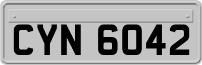 CYN6042
