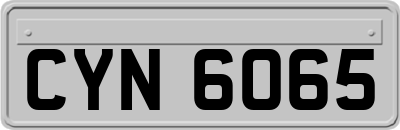 CYN6065