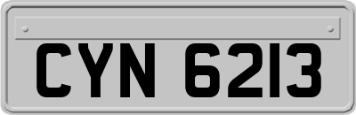 CYN6213