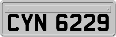 CYN6229
