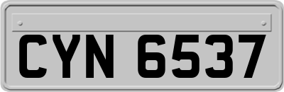 CYN6537