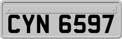 CYN6597