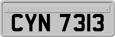CYN7313