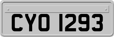 CYO1293