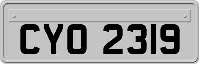 CYO2319
