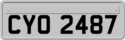 CYO2487