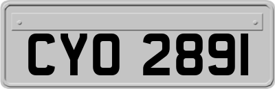 CYO2891