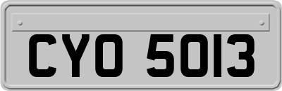 CYO5013