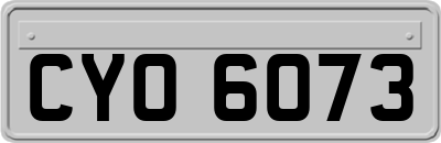 CYO6073