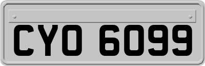 CYO6099