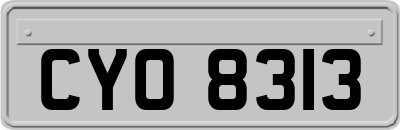 CYO8313
