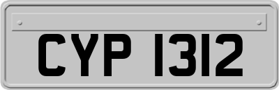 CYP1312
