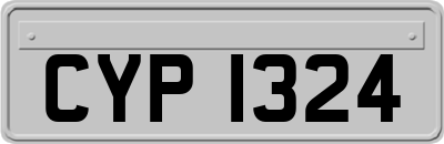 CYP1324