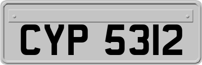 CYP5312