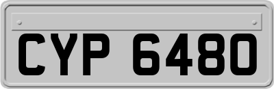 CYP6480