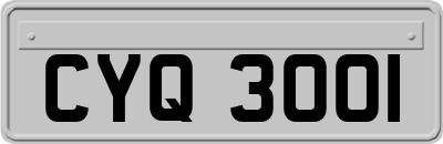 CYQ3001