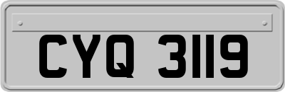 CYQ3119