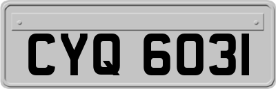 CYQ6031
