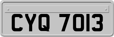 CYQ7013