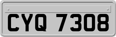 CYQ7308