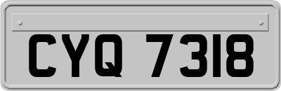 CYQ7318