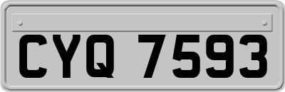 CYQ7593