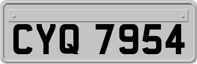 CYQ7954
