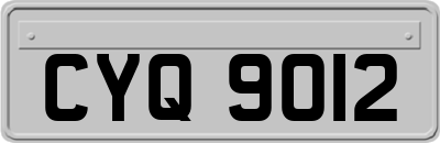 CYQ9012