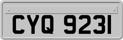 CYQ9231