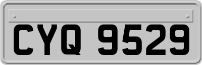 CYQ9529
