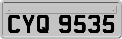 CYQ9535