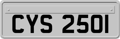 CYS2501
