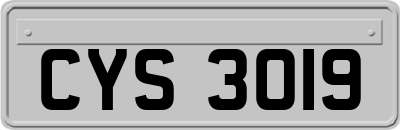 CYS3019