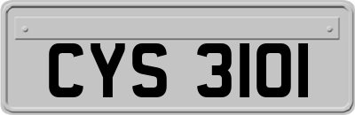 CYS3101