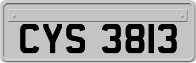 CYS3813