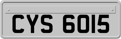 CYS6015