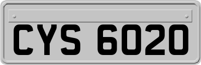 CYS6020