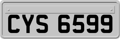 CYS6599