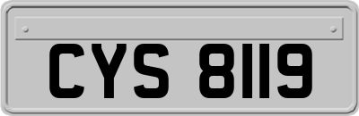 CYS8119