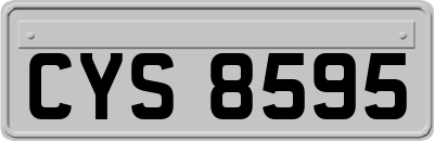 CYS8595