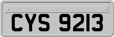 CYS9213