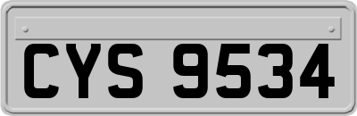 CYS9534
