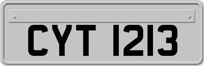 CYT1213
