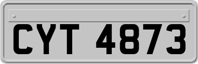 CYT4873